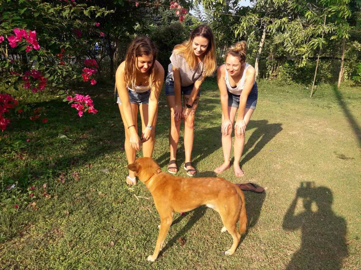 Colonial Surfing Villa Hostel & Home Stay Midigama East Exterior foto